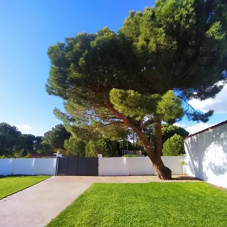 La Luz De Ari Traspinedo