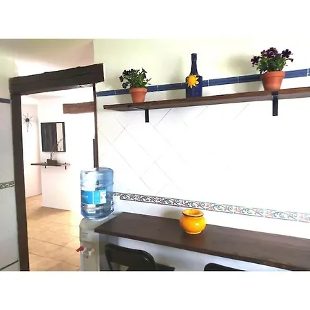 La Luz De Ari * Traspinedo