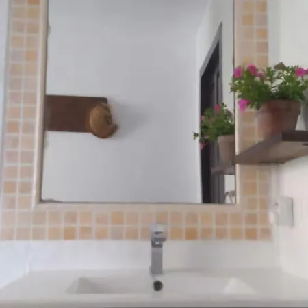 La Luz De Ari * Traspinedo