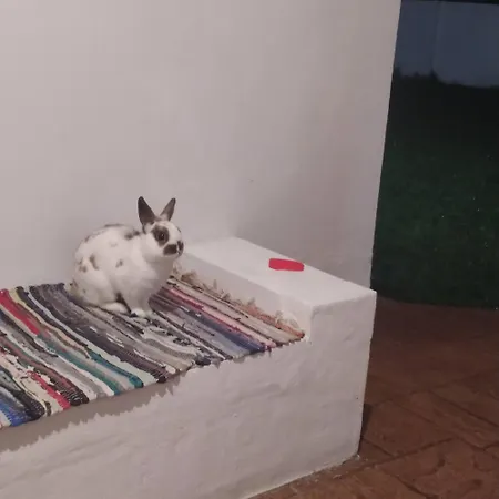 Hétvégi ház La Luz De Ari