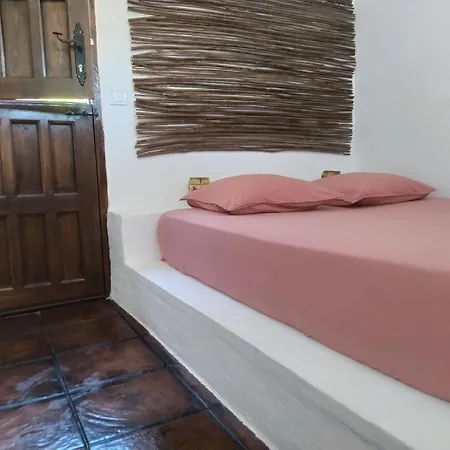 La Luz De Ari Landsted *