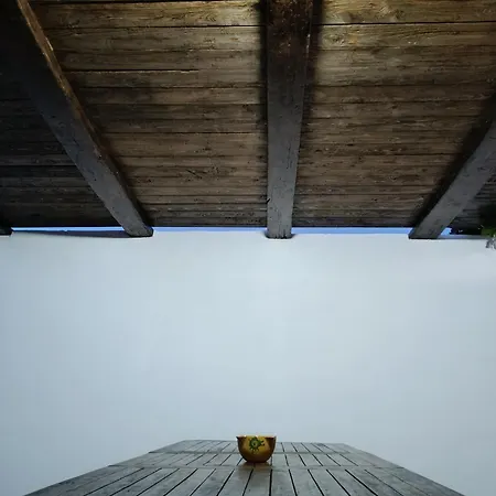 La Luz De Ari Traspinedo