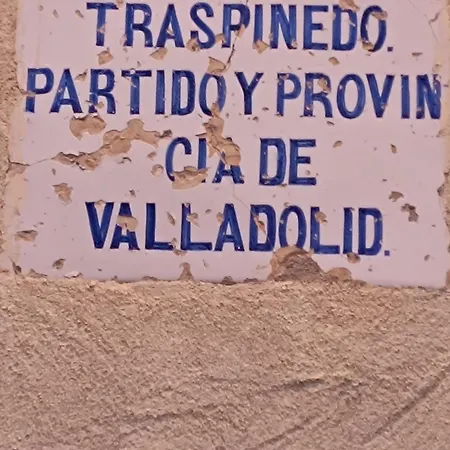 La Luz De Ari Landsted *