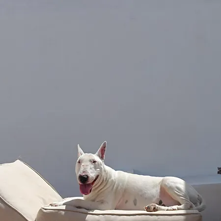 Landsted La Luz De Ari *