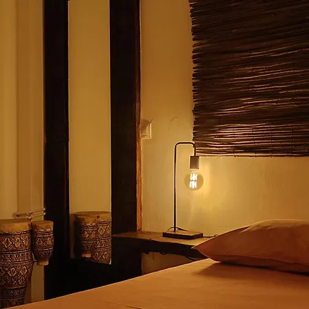 La Luz De Ari Landsted